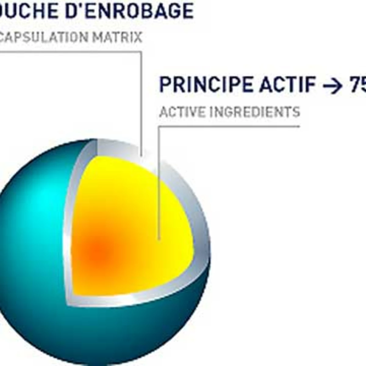 Le microenrobage