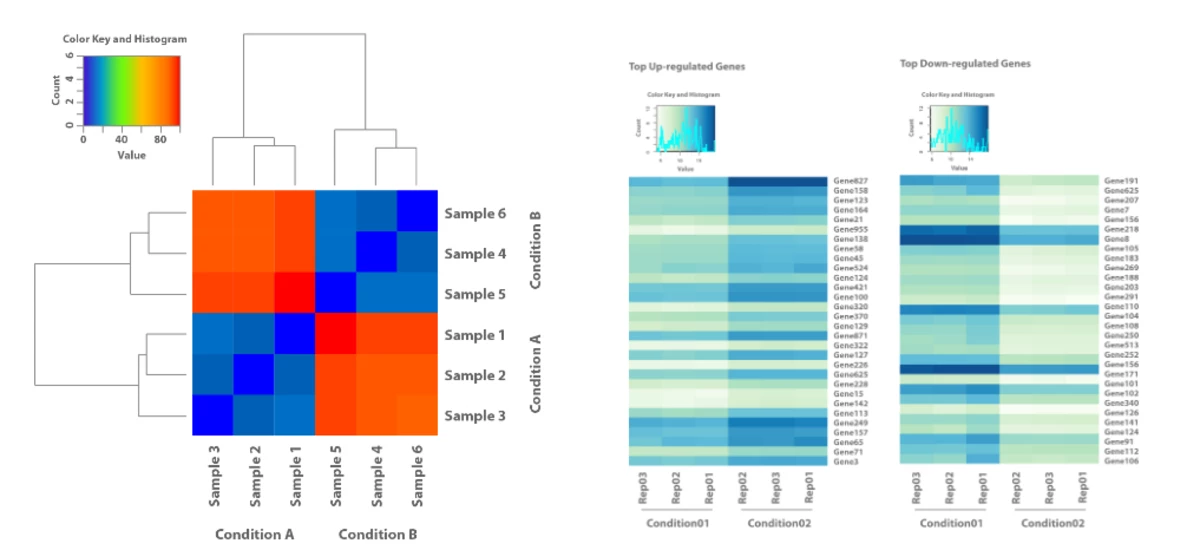 Séquençage de l'ARNm pour l'analyse de l'expression différentielle des gènes