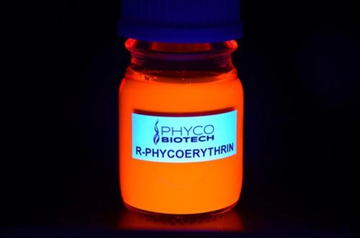 PHYCOÉRYTHRINE-R