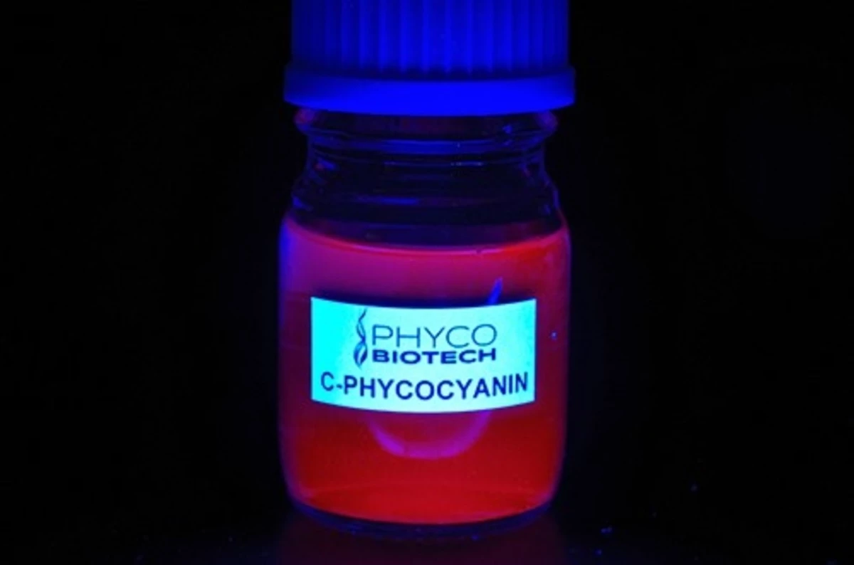 PHYCOCYANINE